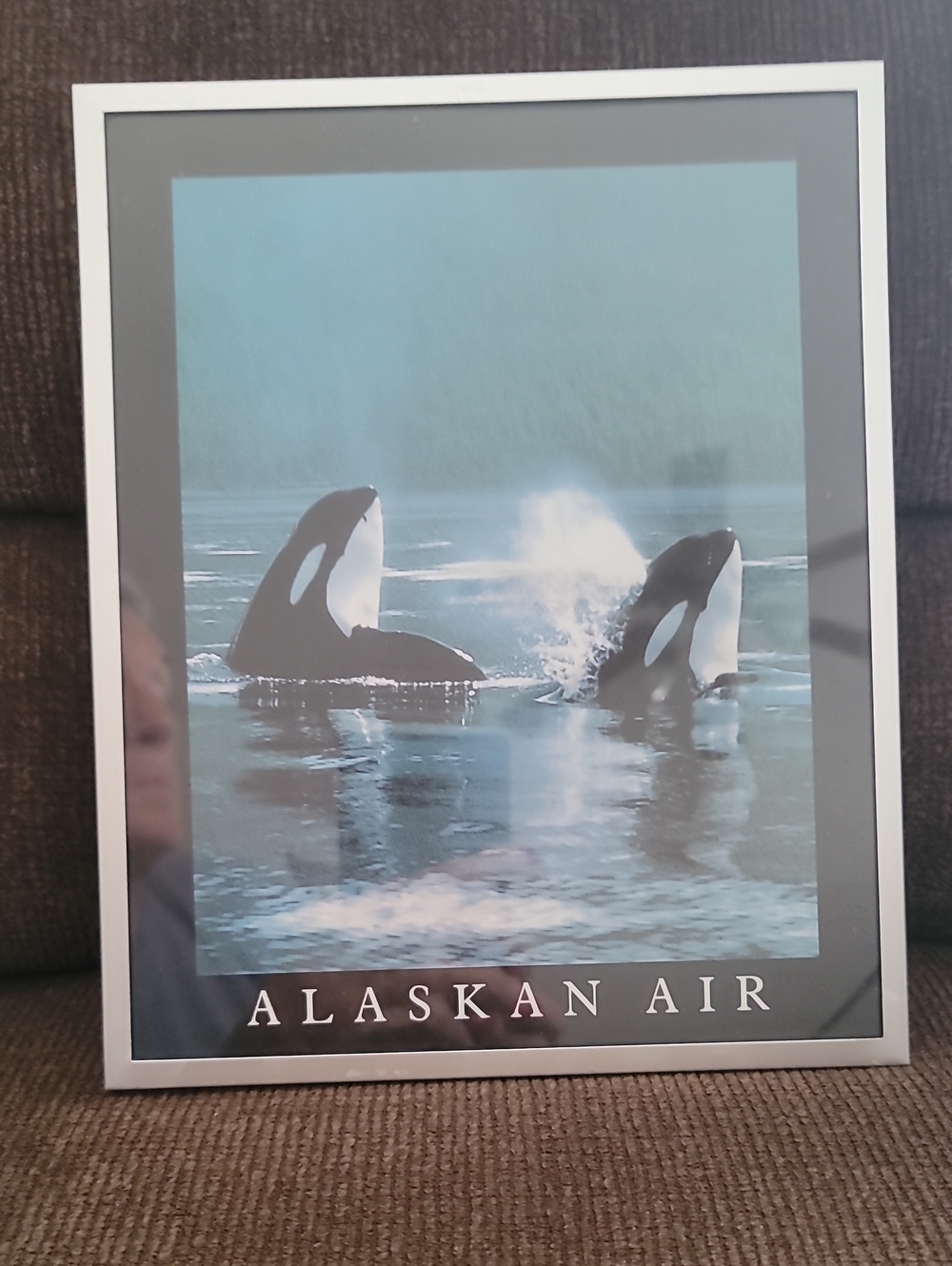 Framed Orca Print - Blue and Black